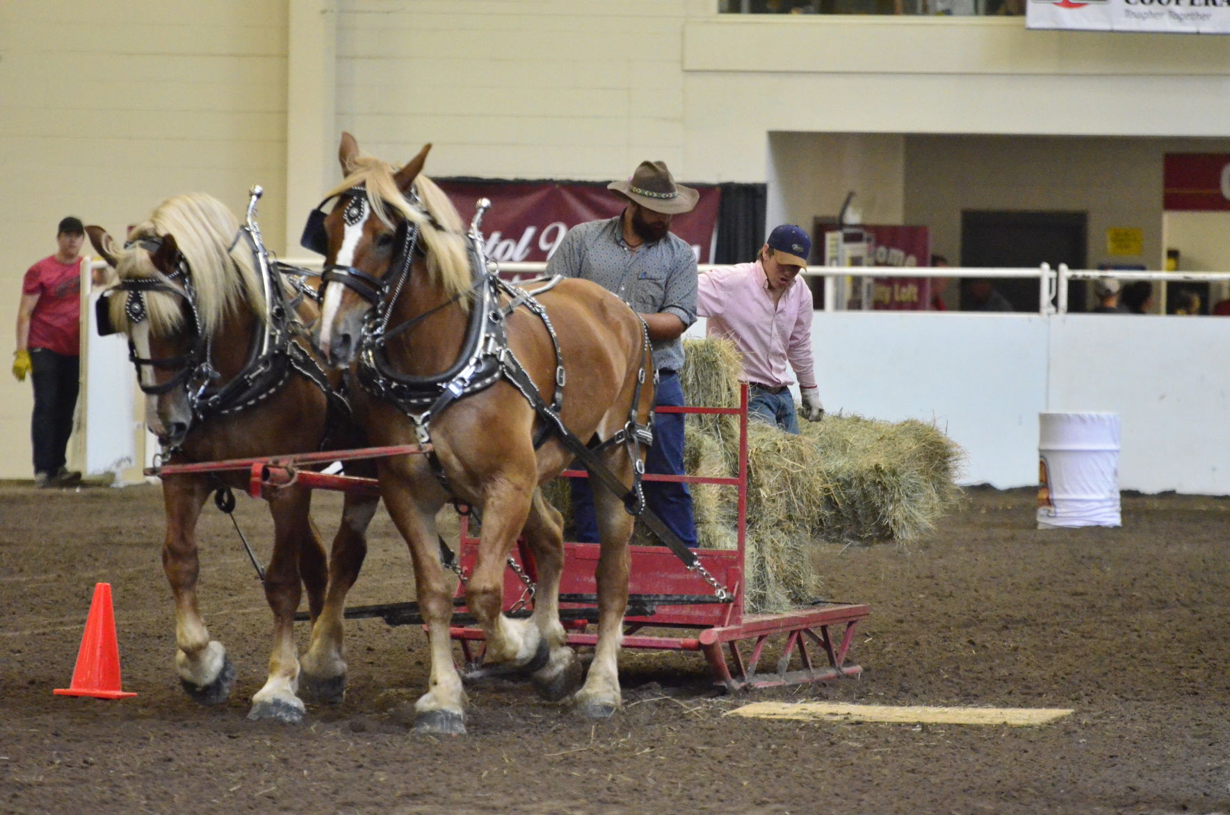 8-25-19 Draft Horse Hitch Final (9).JPG